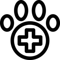 爪子