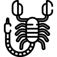 蝎