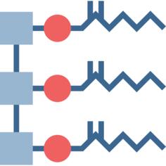 Molecule