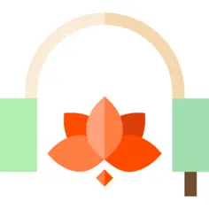 Earphones