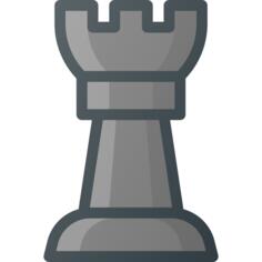 Rook