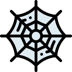 Spider web