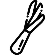 葱
