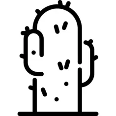 Cactus