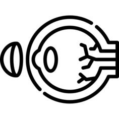 Eye
