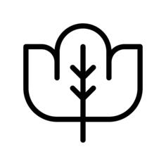枫叶