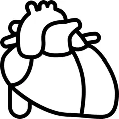Heart