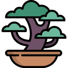 Bonsai