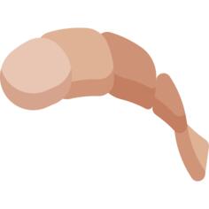 虾