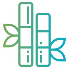 Bamboo