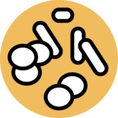 Chromosome