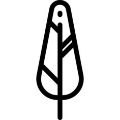 Feather