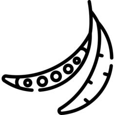 豌豆