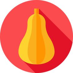 Squash