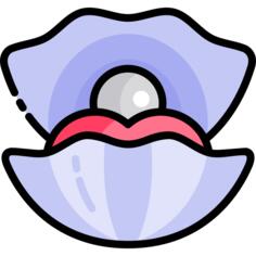 Clam
