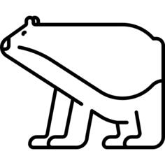 Polar bear