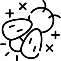 萤火虫