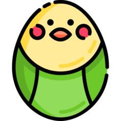 鸟
