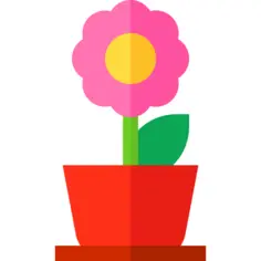 花盆