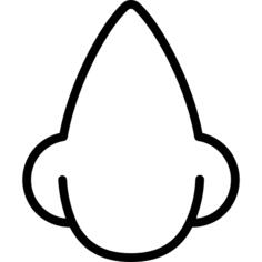 Nose