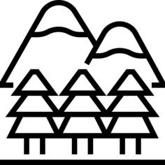 森林