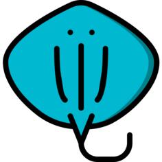 黄貂鱼