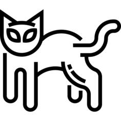 黑猫