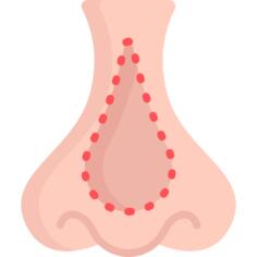 Nose