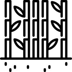 竹