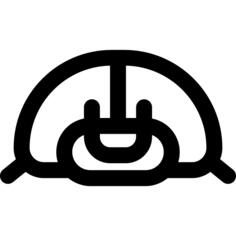 甲虫