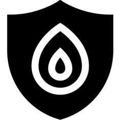 Shield