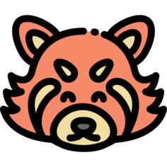小熊猫