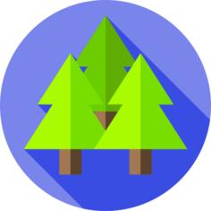 Trees