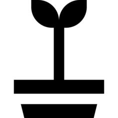 发芽