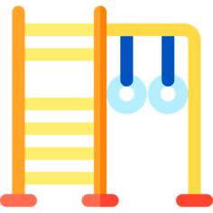 Gym bars