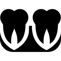 Molars