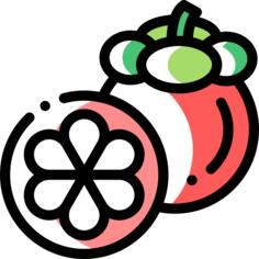 Mangosteen