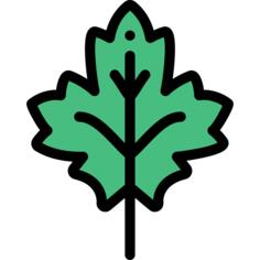 Leaf