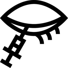 眼睛
