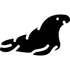 Walrus