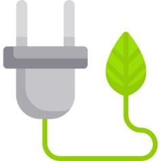 Plug