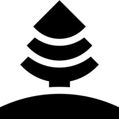 Spruce