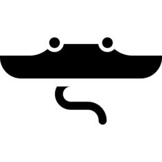Manta ray