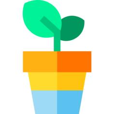 Growth