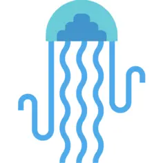 海蜇