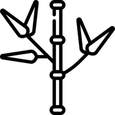 Bamboo