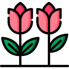 花卉