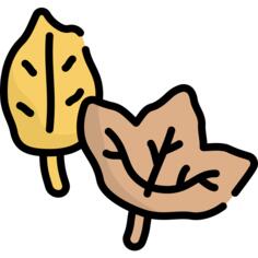 叶