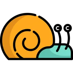 Snail