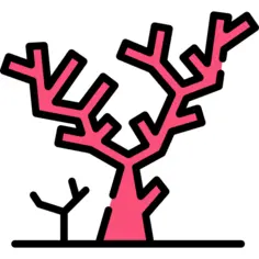 Coral